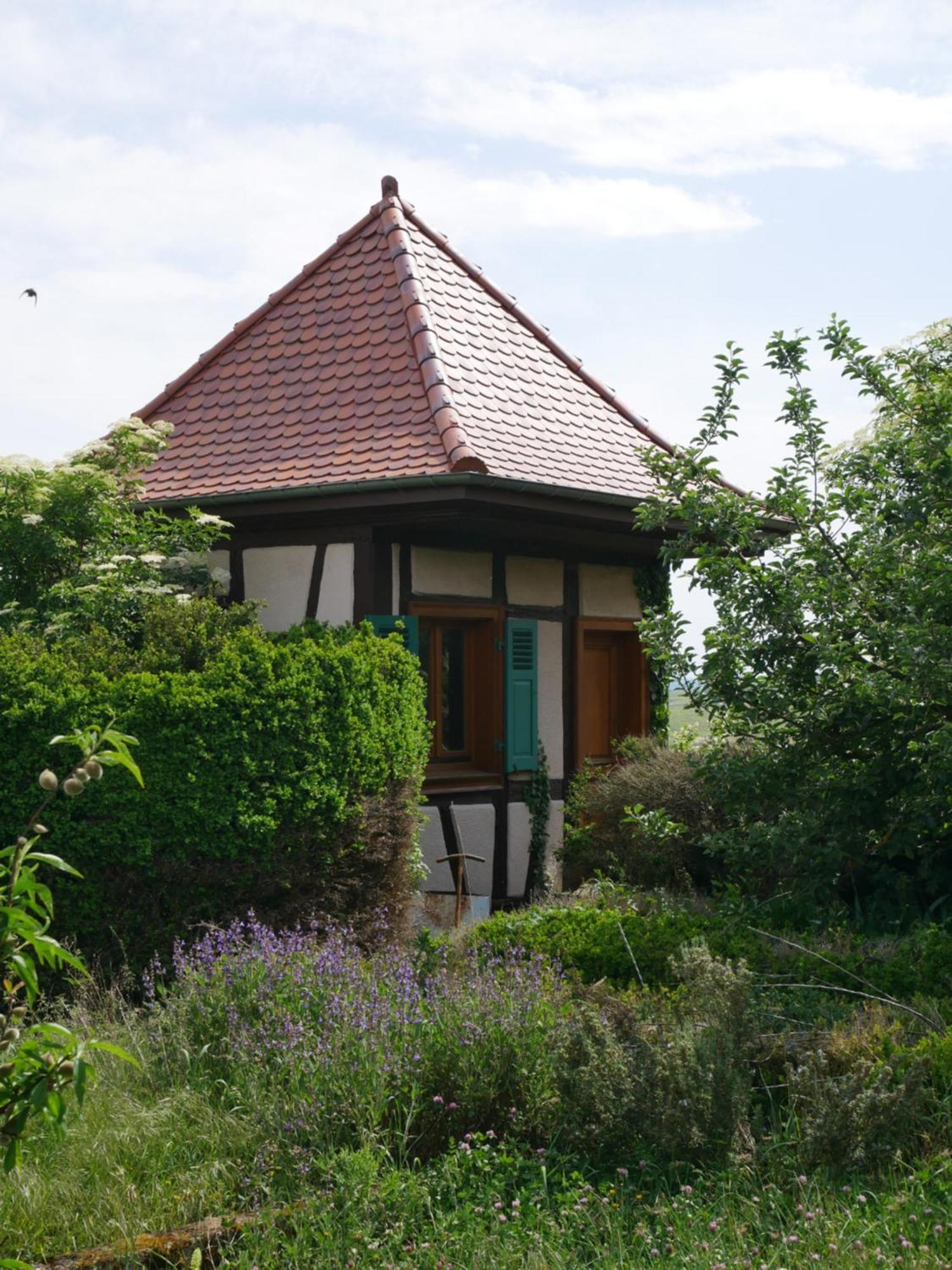 La Cour St-Fulrad - Appartements Saint-Hippolyte  Buitenkant foto